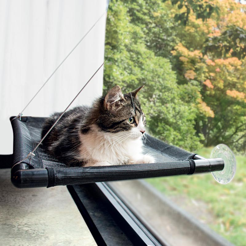 Le Chat-mac
